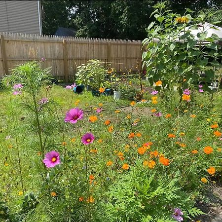 Studio Apt W Garden Kingston Exterior foto
